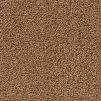 Draufsicht auf Vorwerk Mira 1P96